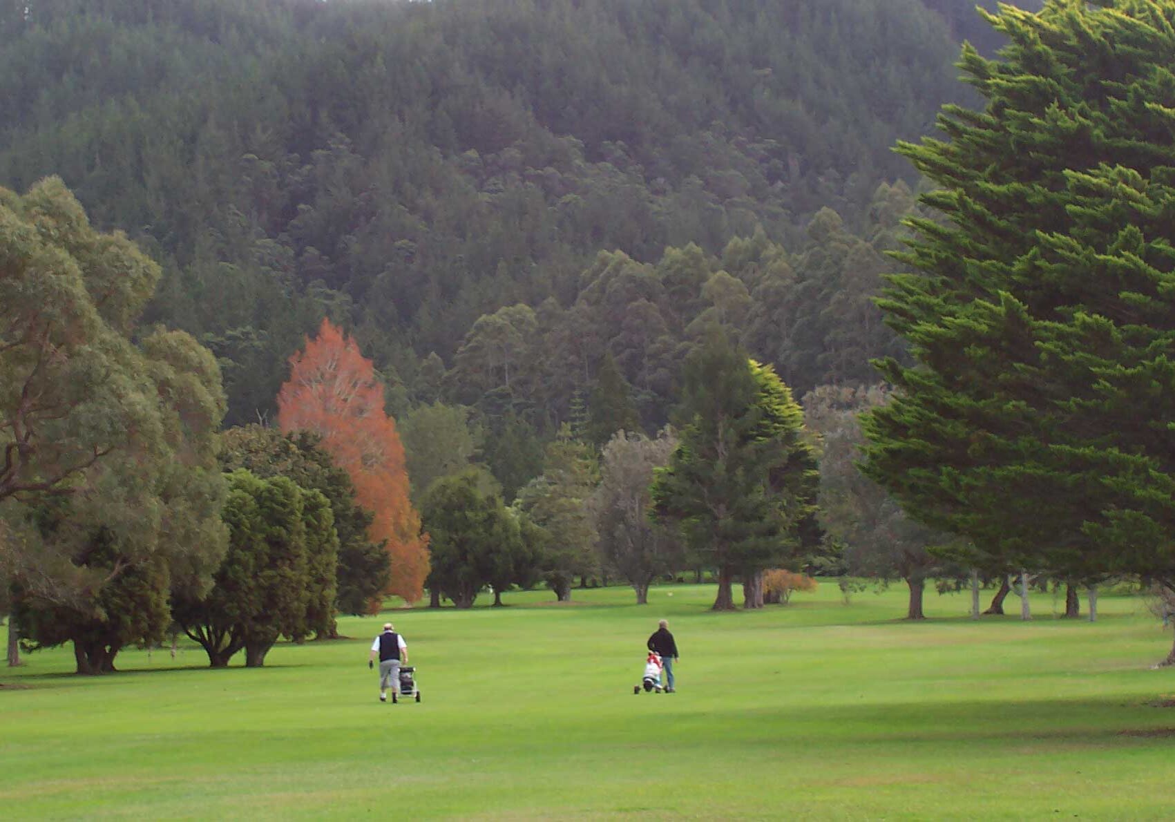 Mercury Bay Golf & Country Club