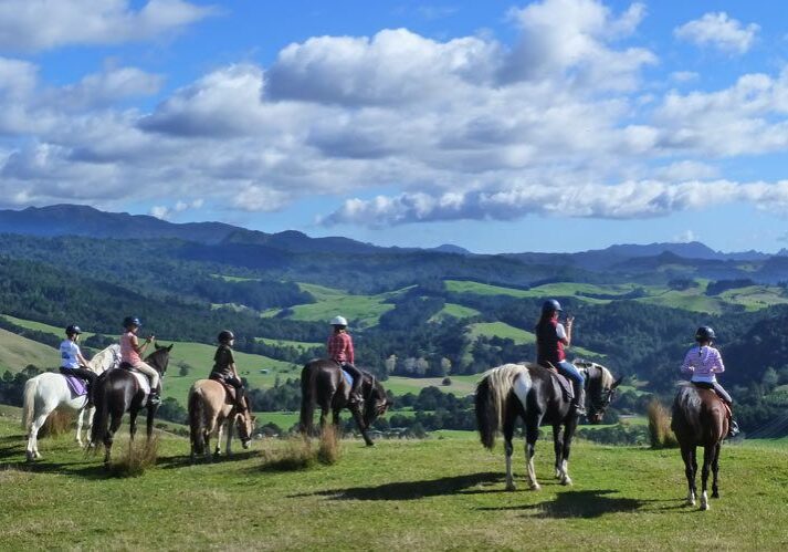 Rangihau Ranch Horse Riding